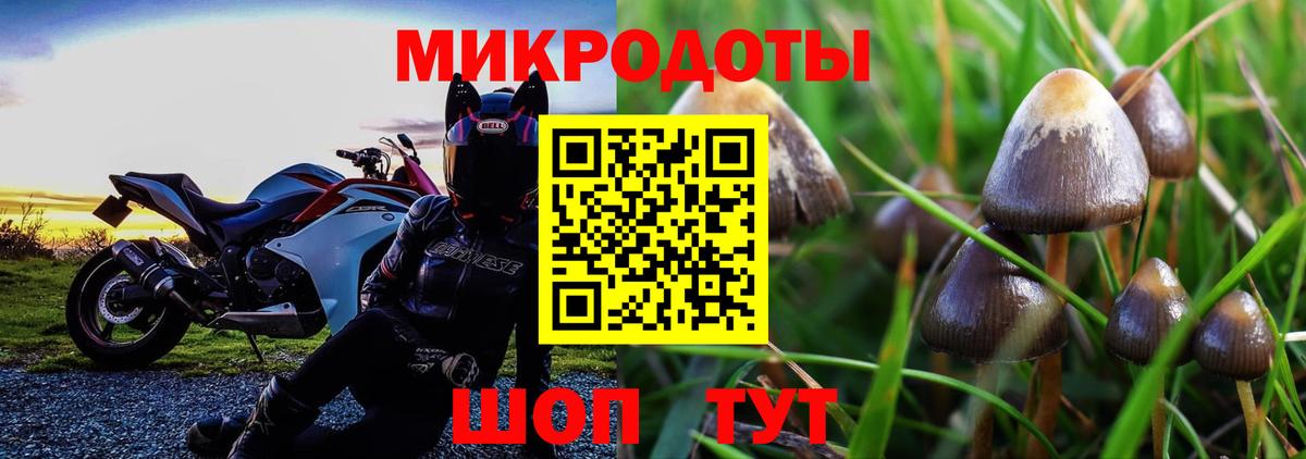 Псилоцибиновые грибы Psilocybine cubensis  Галлюциногенные грибы мицелий  Вход с VPN  Кирово-Чепецк 